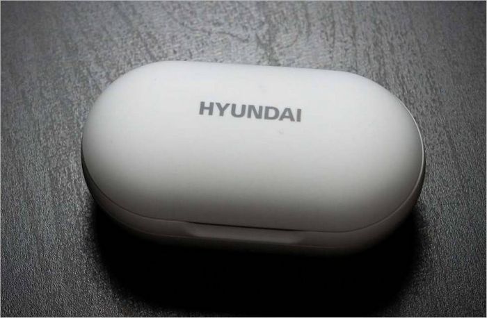 HYUNDAI H-EP100 case